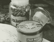 Появление первого бренда «Isla Moos» 
